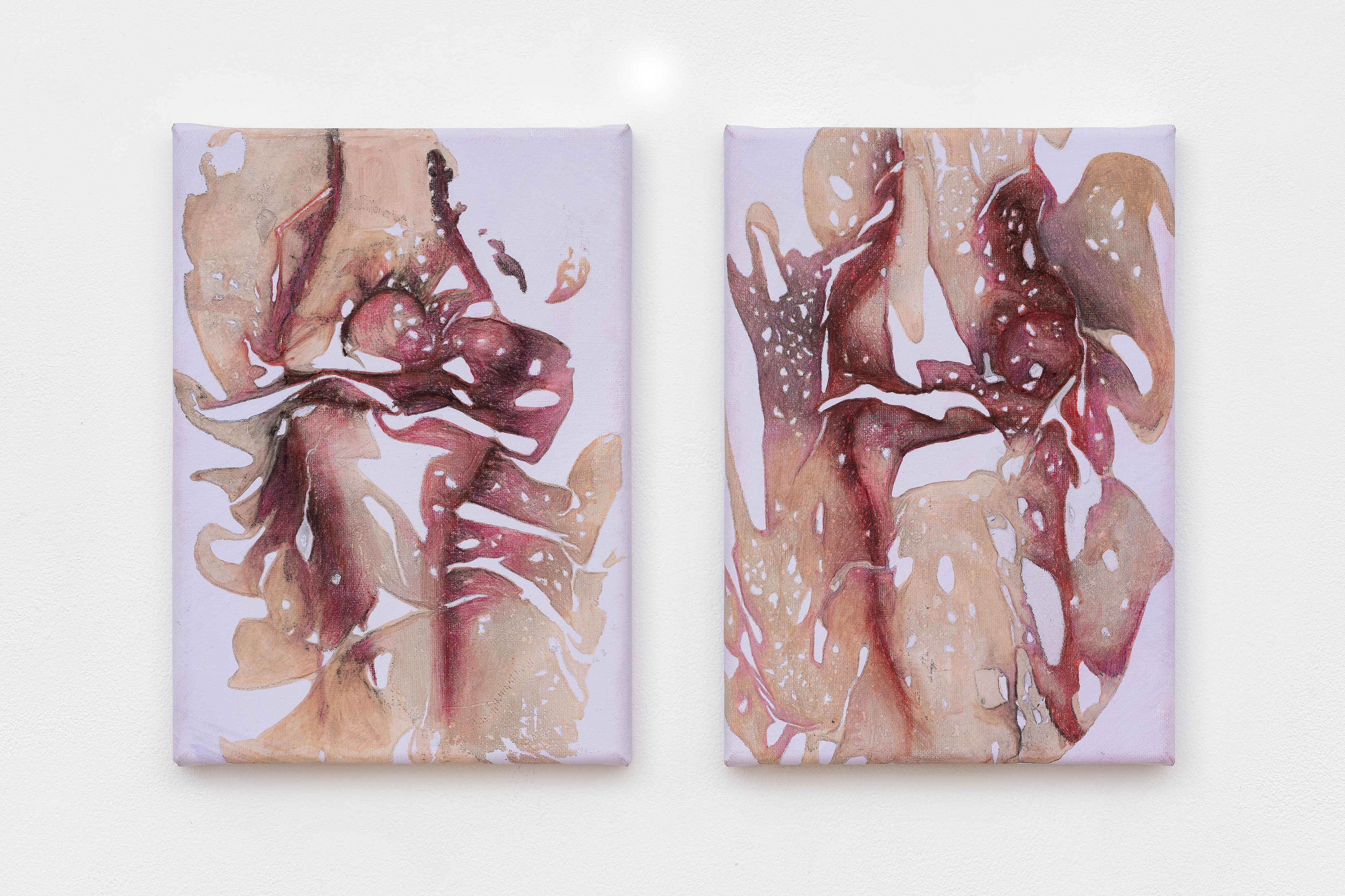 Installation view Zone 1, Vienna Contemporary 2024