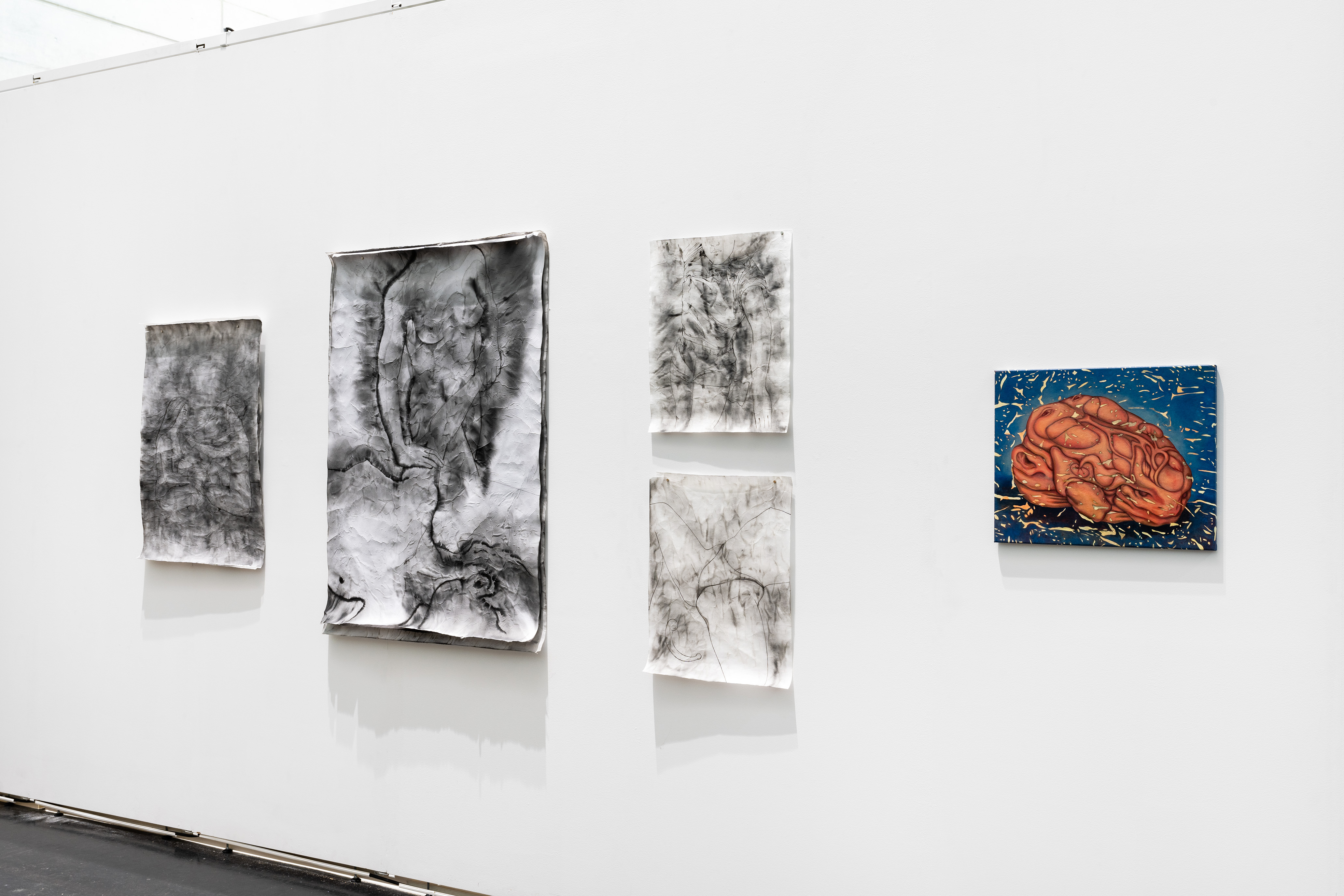 Installation view Zone 1, Vienna Contemporary 2024